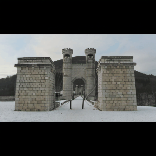 Generated novel views from WildCAT3D